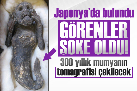 Japonya da bulundu görenler şoke oldu!